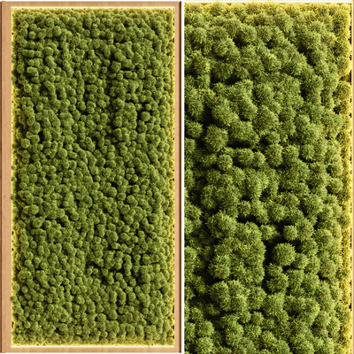 Wooden planks and vertical garden 08 — Вид 3