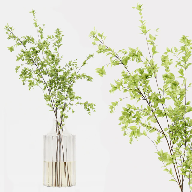 Collaction Indoor Plants 022 — Скачать
