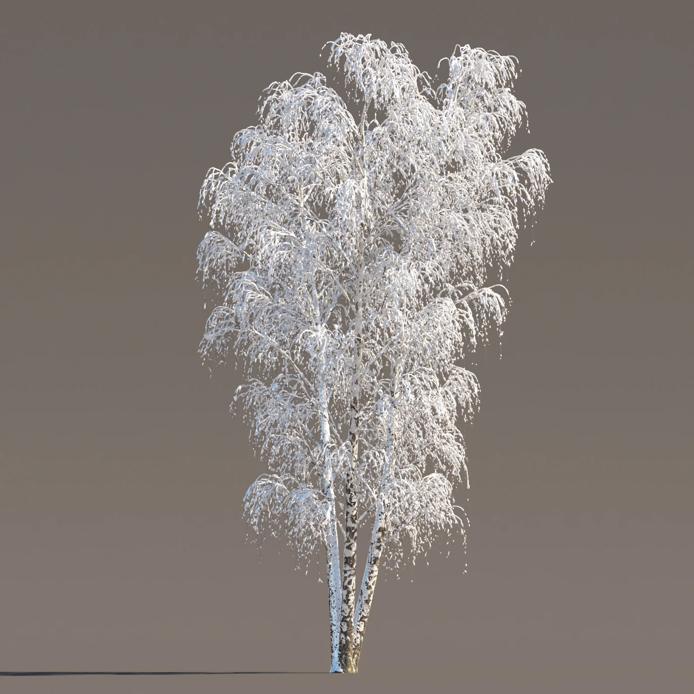 041 winter — Descargar