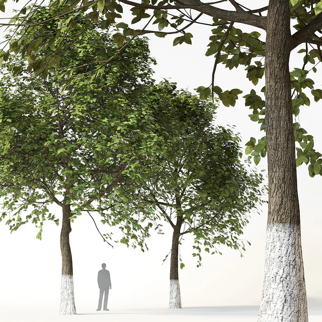 Trees 2 — Descargar