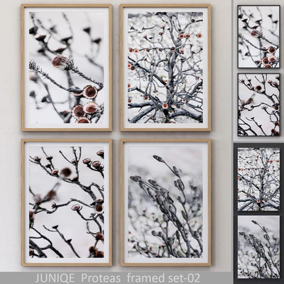 Proteas framed set-02 — Вид 1
