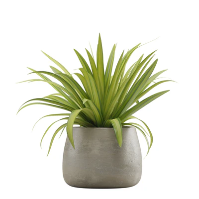 Indoor Plants Pack 15 — Ver 5