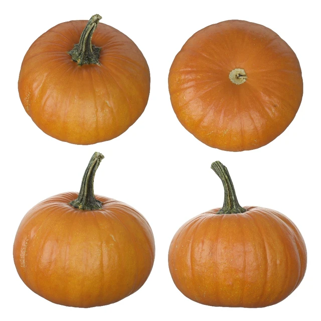 Pumpkins — Descargar