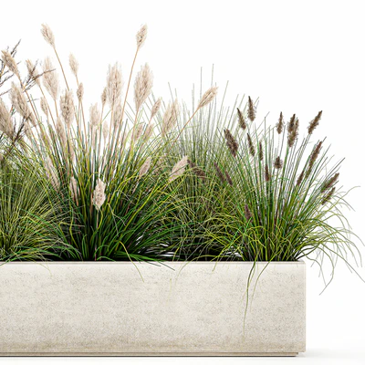 Collection of plants in a pot with pampas grass, reeds, flowerbed, bushes, landscaping. Set 1076. — Ver 3