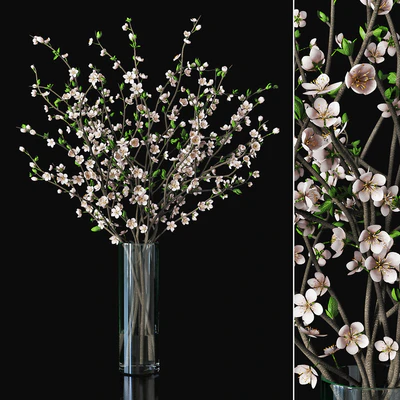 Plum blossom 03 — Вид 1