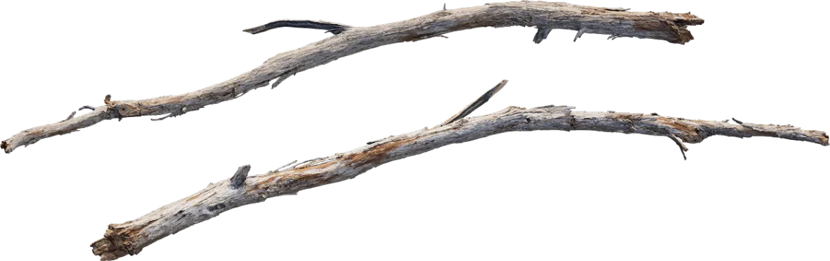 desert western tree branch juniper 001 — Descargar