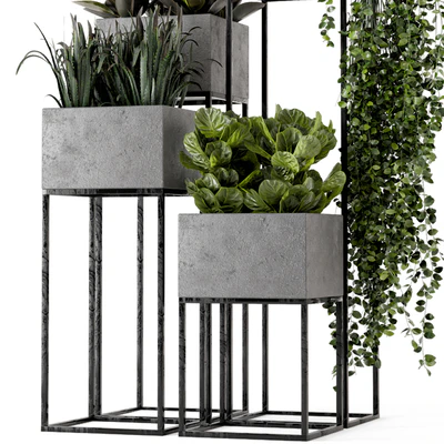 Indoor Plants in rusty Concrete Pot on Metal Shelf - Set 221 — Ver 5