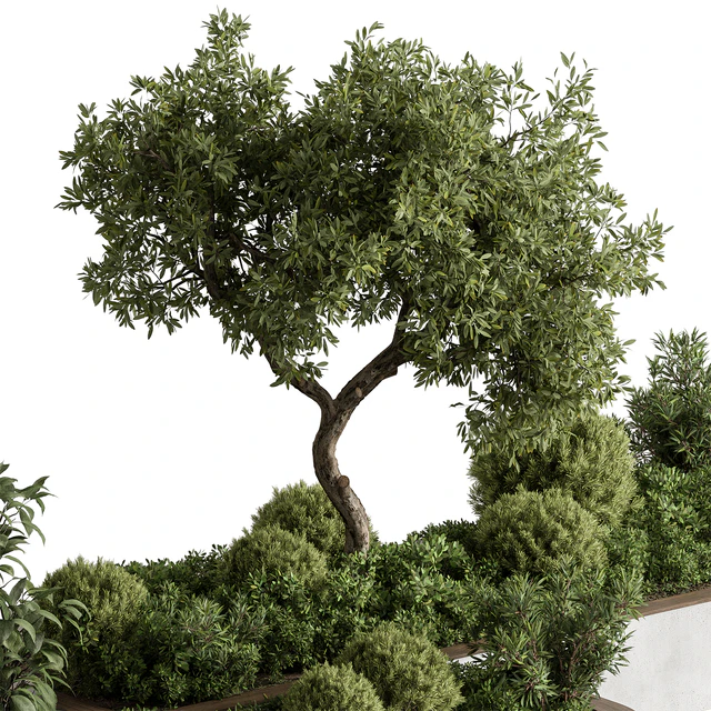 Plant Box - Outdoor Plants 588 — Descargar