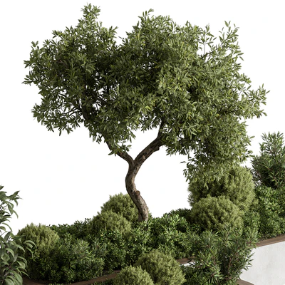 Plant Box - Outdoor Plants 588 — Ver 3