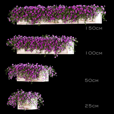 Flowers for the balcony — Ver 1