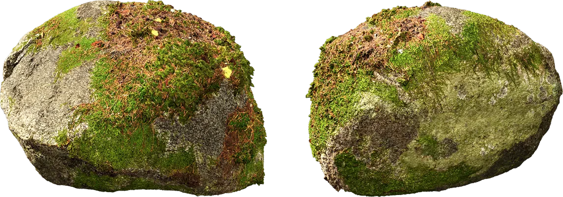 nordic forest rock moss small 001 — Descargar