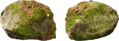 nordic forest rock moss small 001 — Descargar