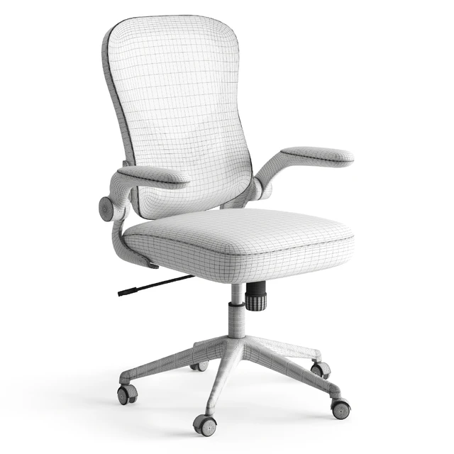 Xiaomi HBADA Ergonomic Double-Waisted Computer Chair HDNY163WM — Descargar