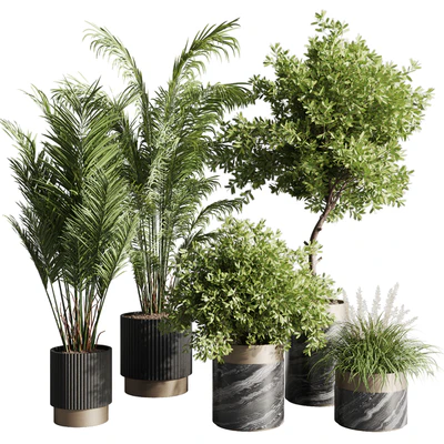 indoor plant set 57 — Вид 1