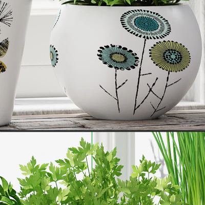 Herbs in pots — Ver 2