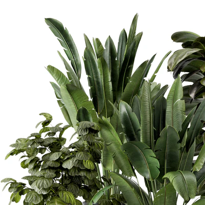 Indoor Plants in Ferm Living Bau Pot Large - Set 1208 — Вид 6
