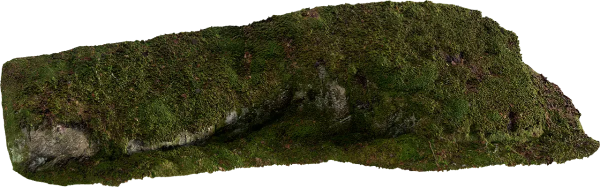 mossy embankment 006 — Descargar