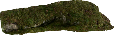 mossy embankment 006 — Descargar