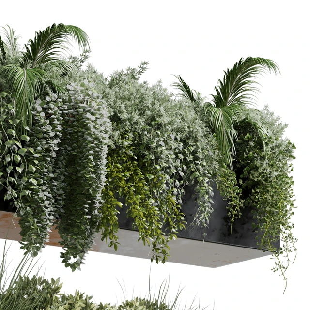 wall plant - hanging plants collection Indoor plant 219 — Descargar