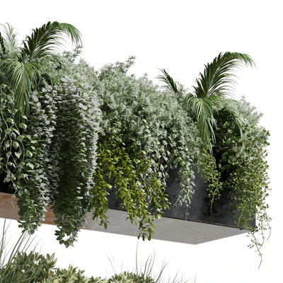wall plant - hanging plants collection Indoor plant 219 — Ver 4