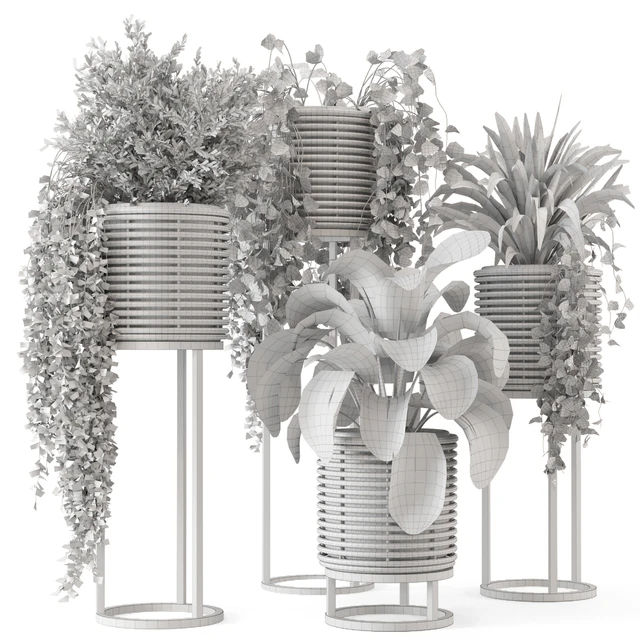 Indoor Plants in natural rattan Pot on Metal Base  - Set 592 — Скачать