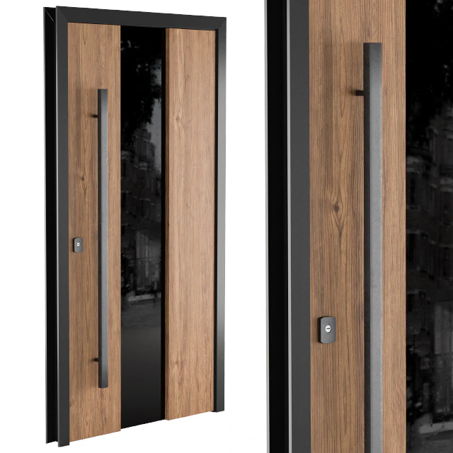 Door Wooden and Glass — Descargar