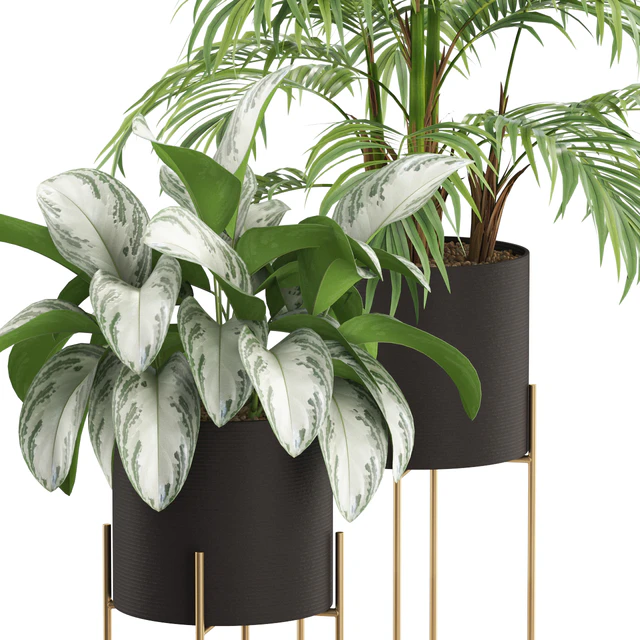 Plants collection 515 — Скачать