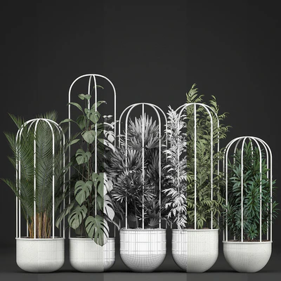 Plant collection 328. White pot, flowerpot, monstera, bamboo, dracaena, palm tree, indoor plants, Scandinavian style, metal flowerpot, bushes, thickets — Ver 2