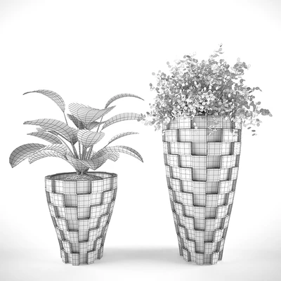 PLANT 02 — Вид 2