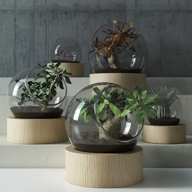 plant in glass — Descargar