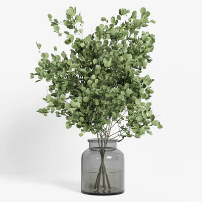 collection of indoor plants Vol04 — Вид 4