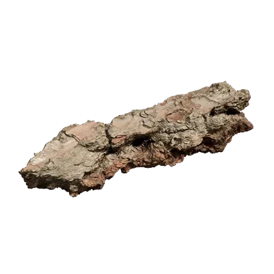 pine bark piece 008 — Скачать