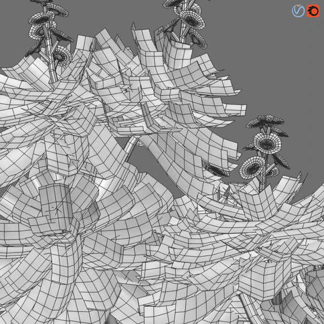 Crossostephium chinense - graphalium spp — Descargar