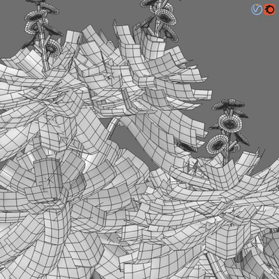 Crossostephium chinense - graphalium spp — Ver 6