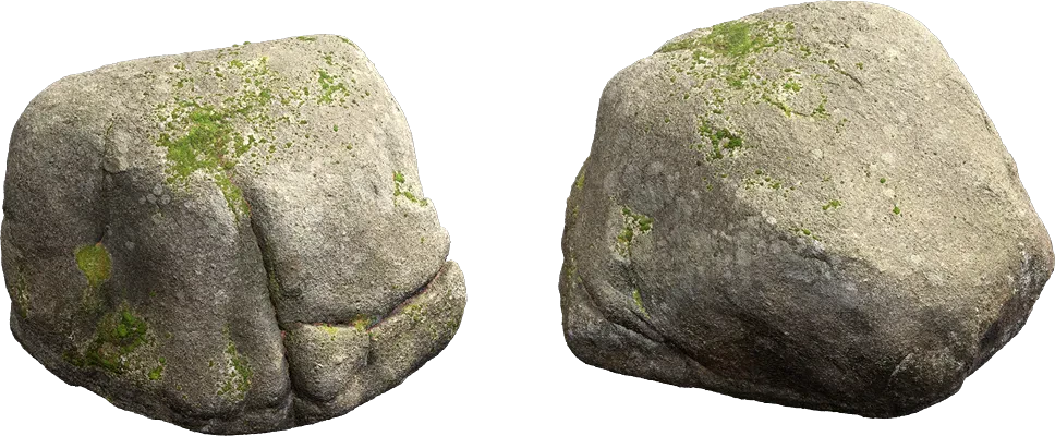 mossy forest boulder 018 — Скачать