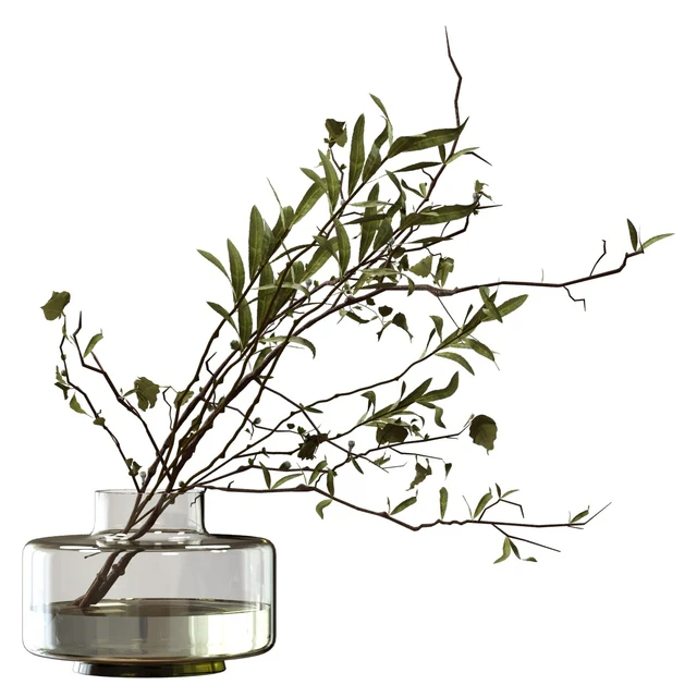 Bouquet of olive branches and wood — Descargar
