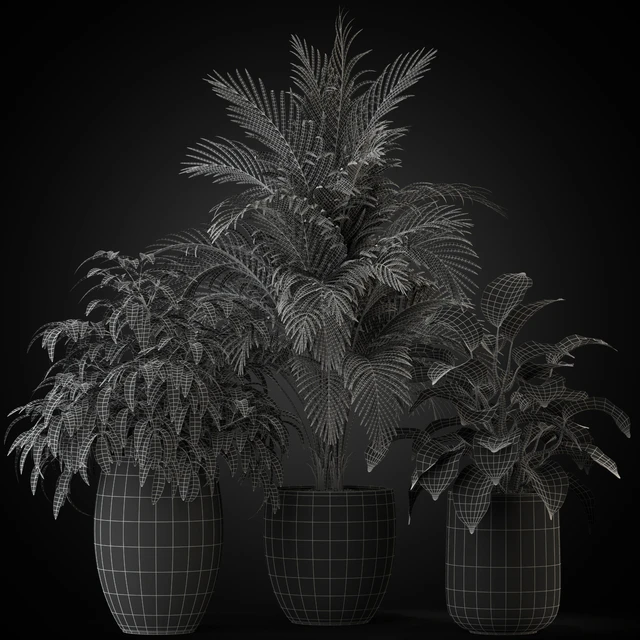 Plants collection 269 — Descargar