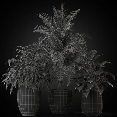 Plants collection 269 — Ver 3