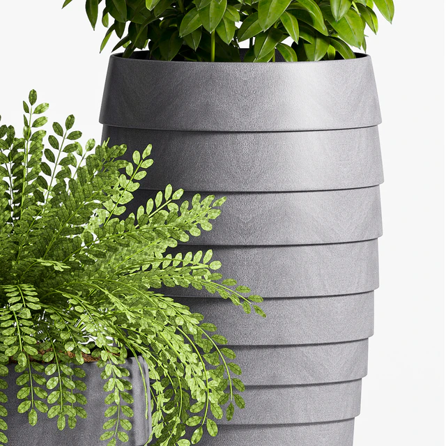 Plant Set -25 — Descargar