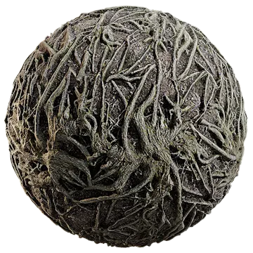 ground roots 003 — Descargar