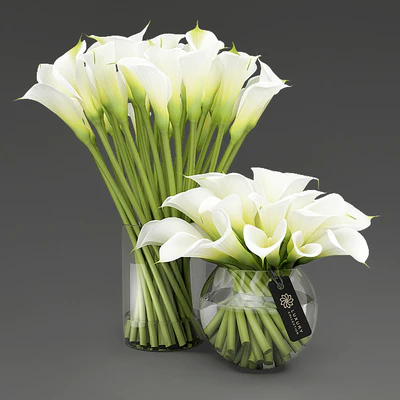 Callas 3 — Ver 1