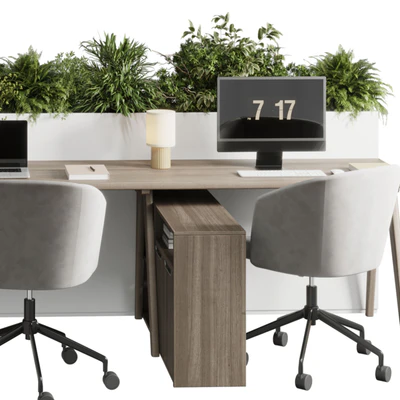 Workplace - Home offfice set - office furniture - Employee desk 26 — Вид 6