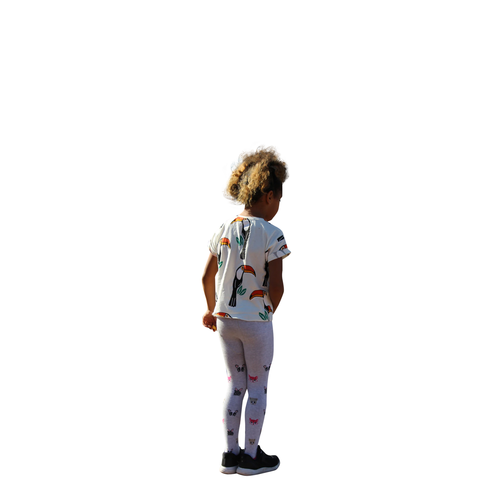 2026 — Download