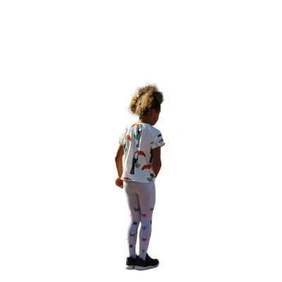 2026 — download