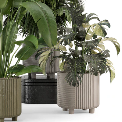 Indoor Planters in Cecilia Ficonstone Pot - Set 969 — Ver 3