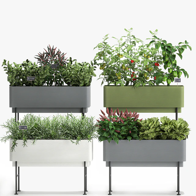 Collection of potted plants Kitchen garden, vegetables, tomatoes, peppers, herbs, Rosemary, lettuce, Lettuce, garden bed. Set 1059. — Descargar