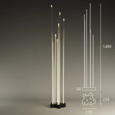 Reeds Light — Вид 2