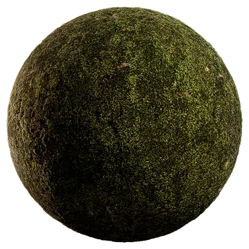 mossy ground 021 — Descargar