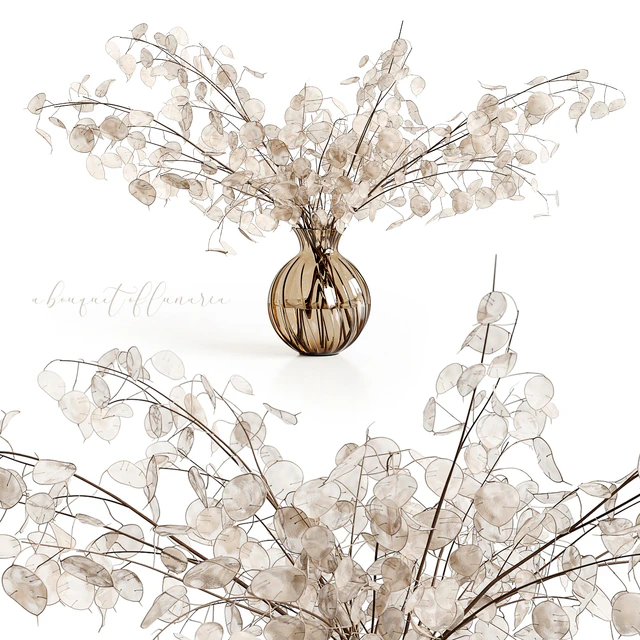 A bouquet of lunaria — Скачать