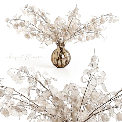 A bouquet of lunaria — Вид 1